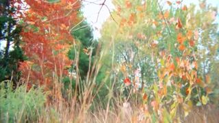 HD VIDEO 67