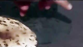 Indian Bhabhi Romance with Servant