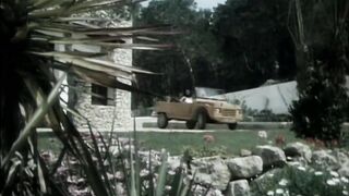 Ekstasen 720p - 1981