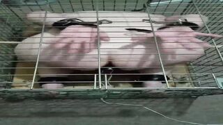 Slave in a cage
