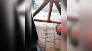 DON'T CLICK ON THE STREET HE ATE IT!