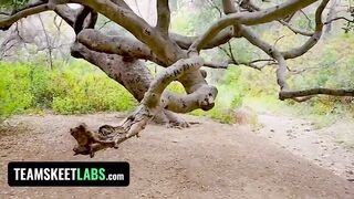 TeamSkeet - Seductive Girlfriend With Big Natural Boobs Invites Foxy Stranger For Outdoor Threesome