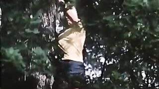 karlekson 1977