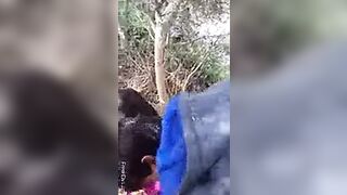 Desi girlfriends Forest fucking