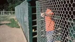 Nothing to Hide (1981)