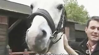Nikki Platts - Vintage British Hardcore