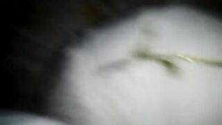 Hooters girl gettin fucked and suckin cock