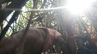 Outdoor fucked in sugarcane field #