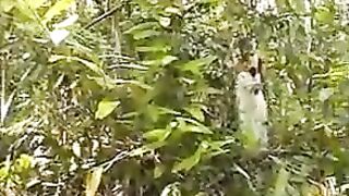Sex In The Open Air 2 (Indian)