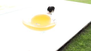 Lady Dee pees