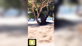 3 Girls Putting Butt Plugs in Their Asses in Jamaica