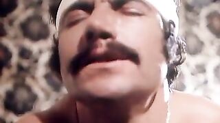 Parties de Chasse en Sologne (1979)