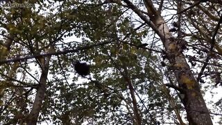 Part 1 abandonned pantie