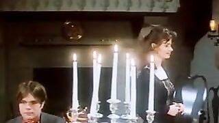 Les Soirees D'une Epouse Pervertie (1980)