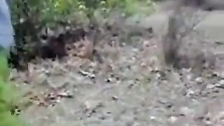 Telugu puku