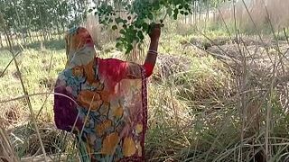 गेहूं के खेत मे सासुर जी ने जबरदस्ती चोद दिया