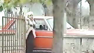 Zerrin Egeliler - Solan Yaprak
