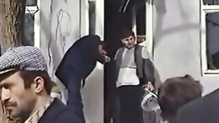 Zerrin Egeliler - Solan Yaprak