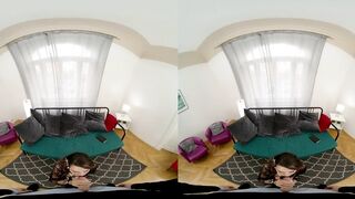Heated Daydream with Stunning Brunette in VR
