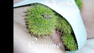 Retrospective 2017 des Avatars de Coquine Marie