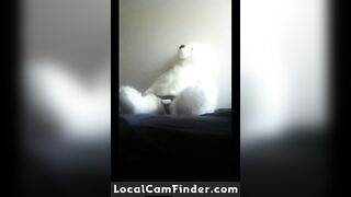 She's Fucking Her Teddy Bear