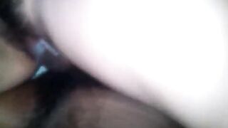 SL NEW 2