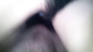 SL NEW 2