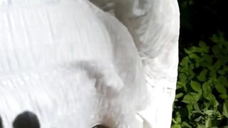 anal in the woods