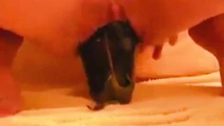 I destroy my sexy pussy