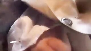 Japanese nurse ambushed by a patient