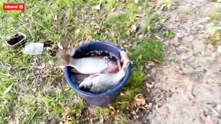 - Learn how to fish. Stepmom teaches stepson to fish and more