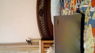 Arab Sexy Girl..... New