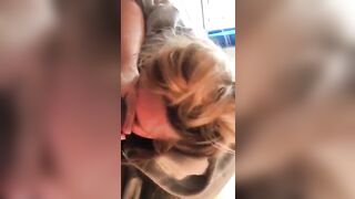 White Australian girl sucks black guys sick in London