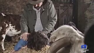 These bitches love to get banged in the straw