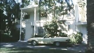 Vintage Insatiabl2 1984