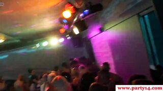Sexparty euro babes doggystyled by strippers