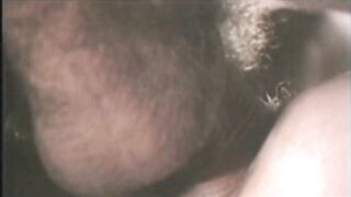 The Best Of John Holmes