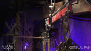Shaved slave in cage with massive ball gag