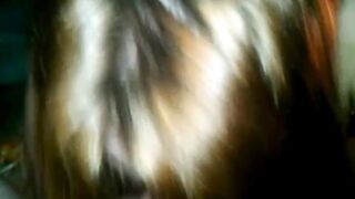 Girlfriend blowjob