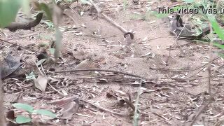 Kamala Aunty Phone lo Srungaram with Neighbour Telugu Phone Talk Talk Telugu Mu low