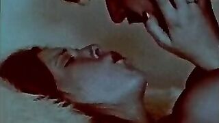Take Me, Take Me, Collection Films No. 69