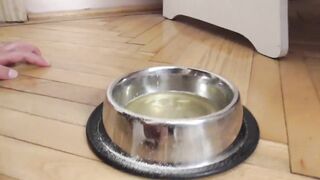 slave maskjoe get his soup with spit and pedicure