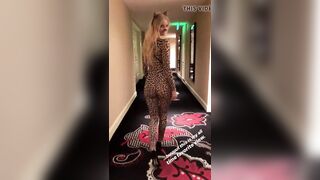 Kitty Cat from behind