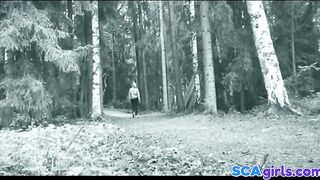 suomalainen vilkkuja