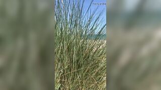 Studland beach