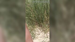 Studland beach