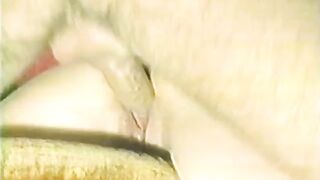 Arkiv X Rated 1 (1990s)