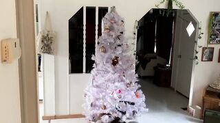 Stuck and Stuffed Under the XXXmas Tree! Multiple Freeuse Cumshots!