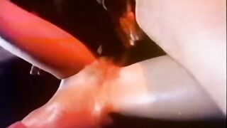 Carnal Experiences Of All Varieties