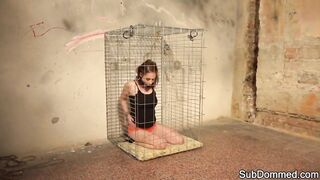 Caged sub babe humiliated by maledom